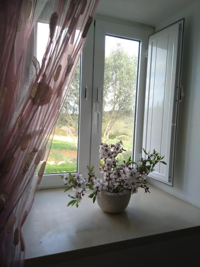 Quinta Da Jolanda-Happy Family Farm Apartment Lagos Luaran gambar